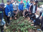 Tập huấn kỹ thuật trồng trọt, chăm sóc Sâm Ngọc Linh cho Cán bộ Đoàn cơ sở