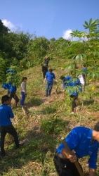 ĐVTN trồng chuối tại Nóc Tulung thôn 4 xã Trà Tập
