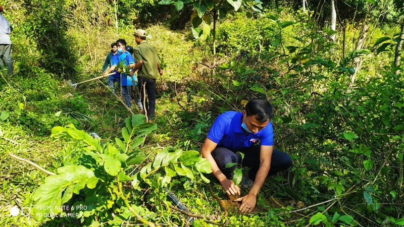 Đoàn viên thanh niên Nam Trà My tổ chức Tết trồng cây tại làng Cheng Tong, thôn 1, Trà Cang.